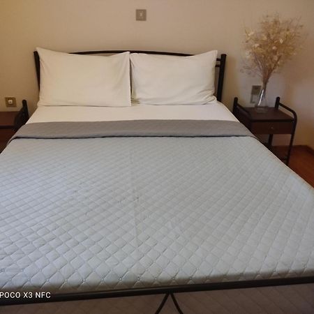 Manousos Apartment Lefkada City Екстер'єр фото