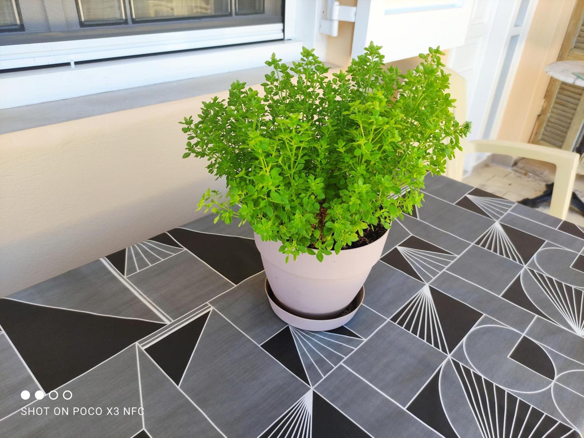 Manousos Apartment Lefkada City Екстер'єр фото